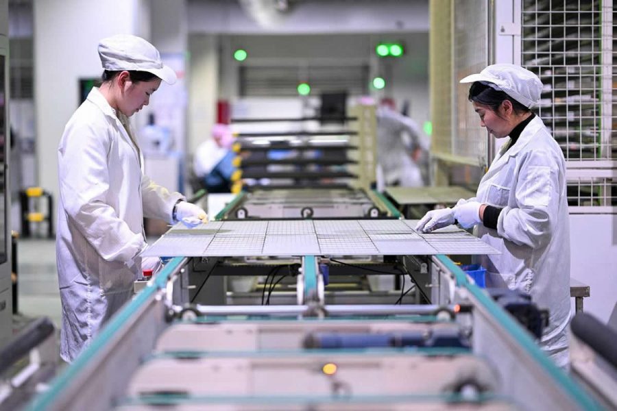 Verificación de empresas